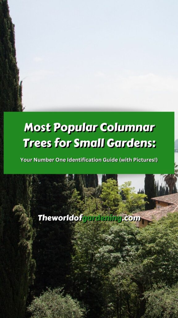 Most Popular Columnar Trees for Small Gardens_ Your Number One Identification Guide (with Pictures!) pinterest image